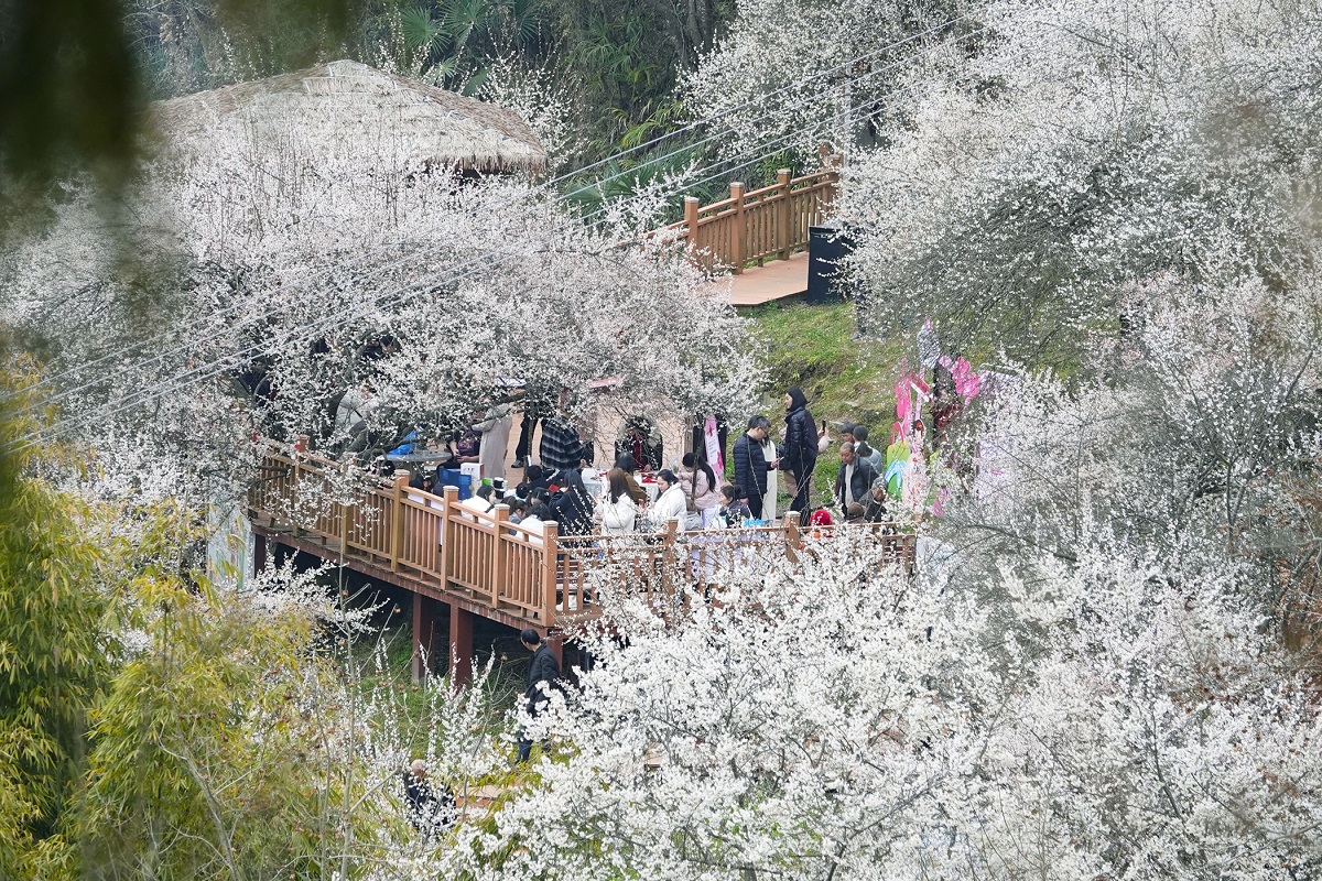 微信图片_20250310140823.jpg