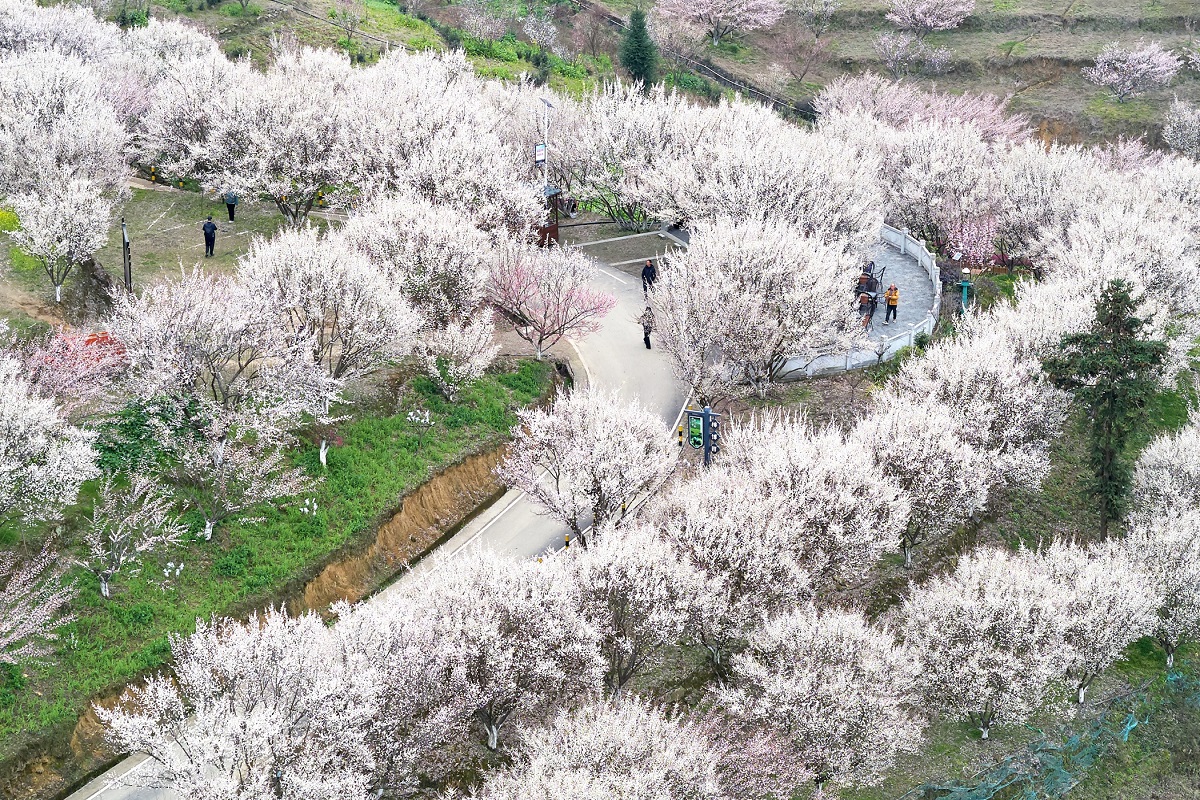 微信图片_20250310140839.jpg