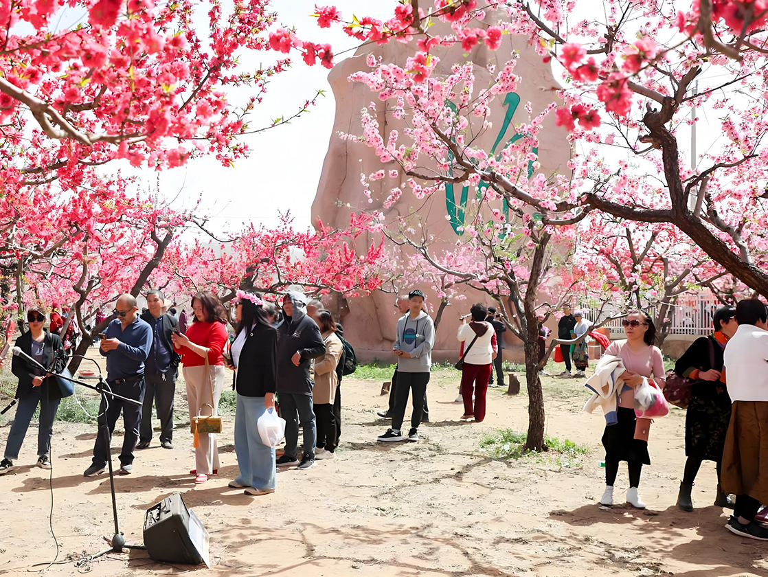 第27届北京平谷国际桃花节即将启幕 推动“爱宠+文旅”等多元融合