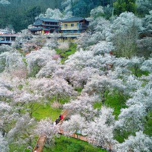 zhaoyan的头像