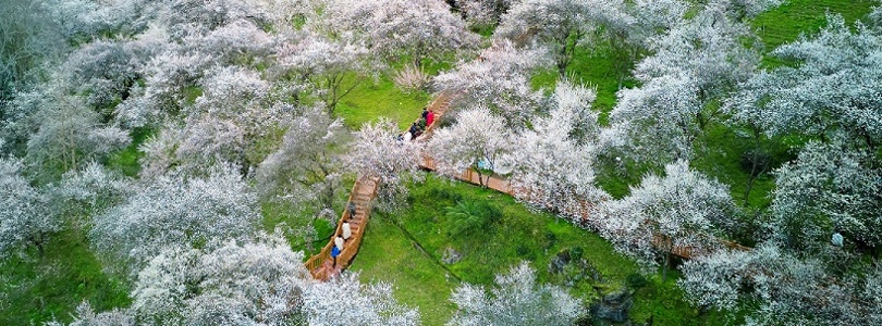 zhaoyan
